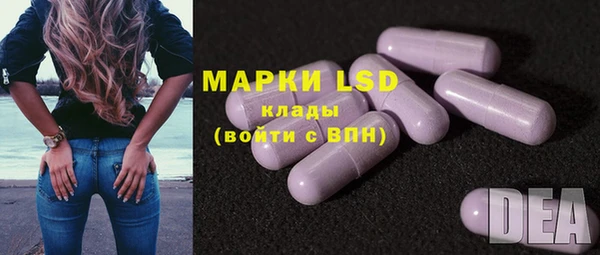 МДПВ Новозыбков