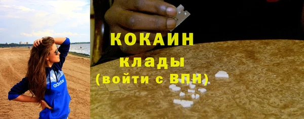 прущая мука Новодвинск