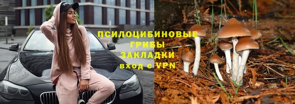 ALPHA PVP Новокубанск