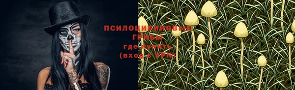 МДПВ Новозыбков