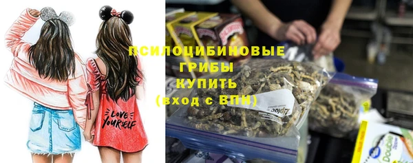 прущая мука Новодвинск